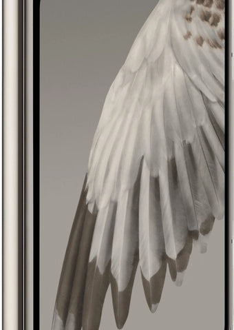 Google Pixel